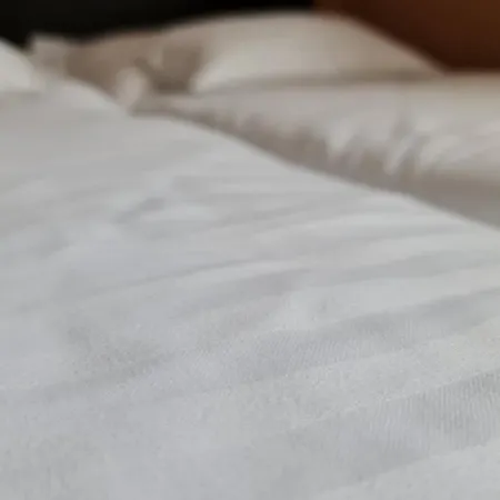 Hotell Oazis Panzio