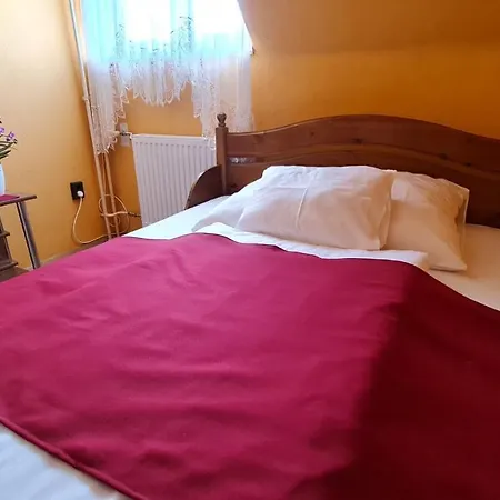 Oazis Panzio Hotell *