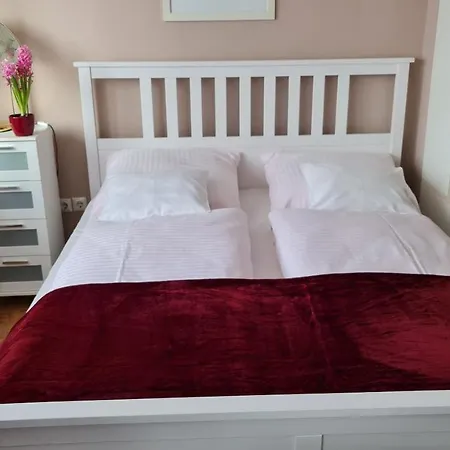 Oazis Panzio * Kiskunfélegyháza