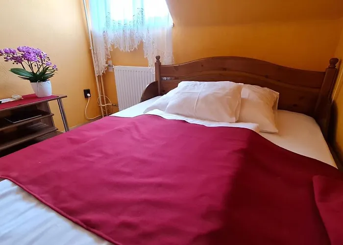 Oazis Panzio Hotell *