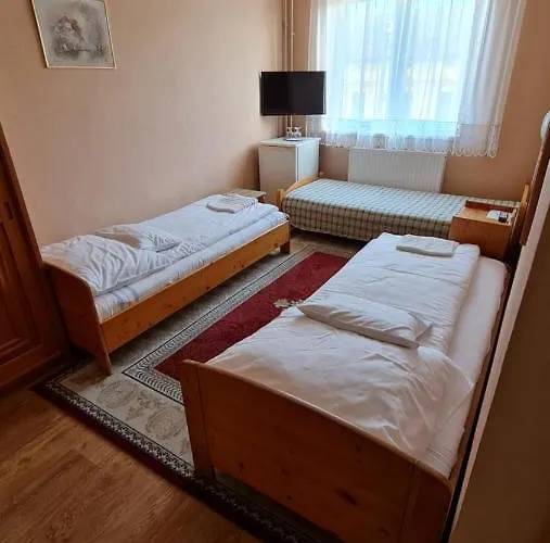 Hotel Oazis Panzio *